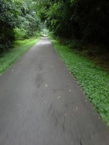 Bike path in Kentucky