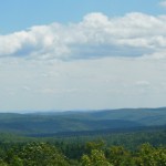 Hills and trees of Vermont