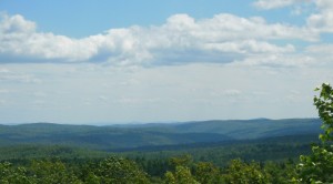 Hills and trees of Vermont