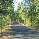 WA bike trail