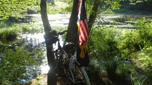 Bike by the pond
