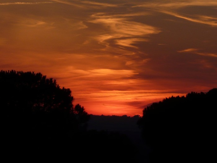 Camp Rudi Red Sunset