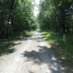 Tunnel Hill in the shade