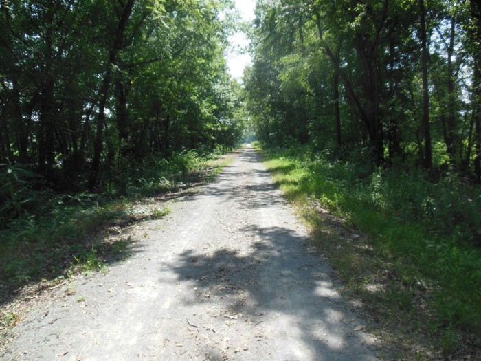 Tunnel Hill in the shade