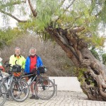 Rick Don & bikes by the Holy Tree