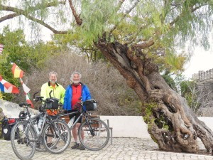 Rick Don & bikes by the Holy Tree