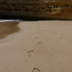 footprints in the sand