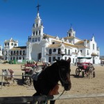 horse & church El Rocio Spain