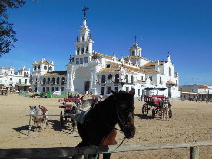 horse & church El Rocio Spain